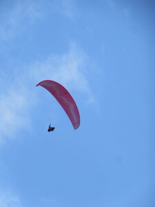 Dimanche 20 mars, IMG_2632