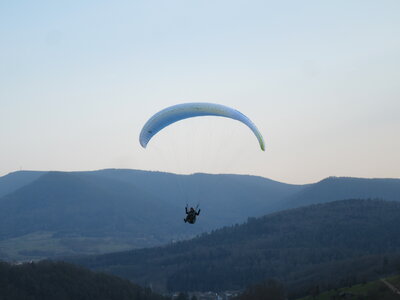 Dimanche 20 mars, IMG_2624