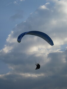 Dimanche 20 mars, IMG_2622