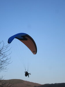 Dimanche 20 mars, IMG_2616