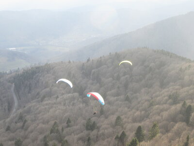 Dimanche 20 mars, IMG_2612