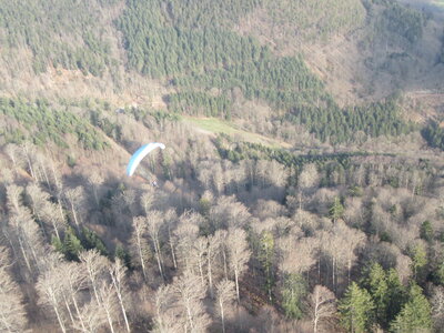 Dimanche 20 mars, IMG_2608