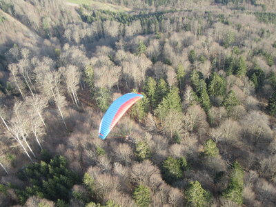 Dimanche 20 mars, IMG_2607