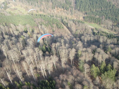 Dimanche 20 mars, IMG_2606
