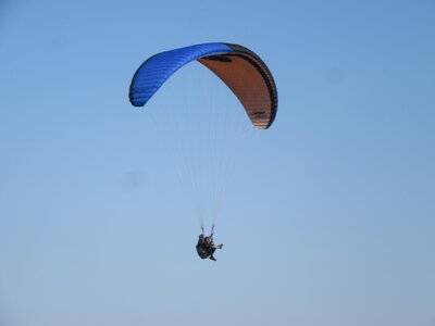 Dimanche 20 mars, IMG_2599
