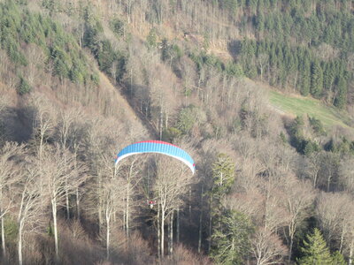 Dimanche 20 mars, IMG_2596