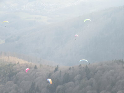 Dimanche 20 mars, IMG_2577