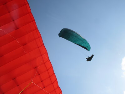 Dimanche 20 mars, IMG_2574