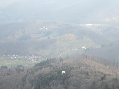 Dimanche 20 mars, IMG_2570