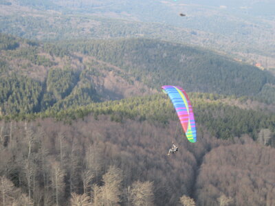 Dimanche 20 mars, IMG_2568