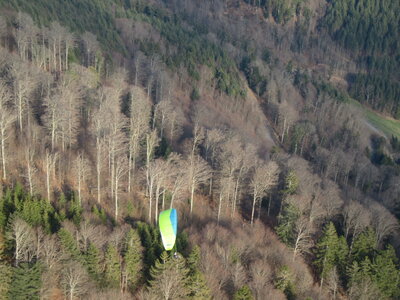 Dimanche 20 mars, IMG_2563