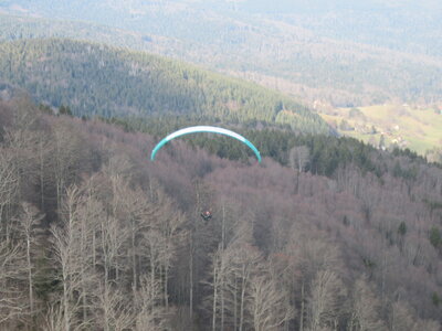 Dimanche 20 mars, IMG_2557