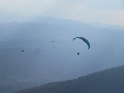 Dimanche 20 mars, IMG_2555