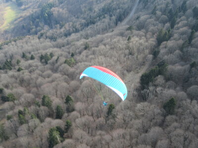 Dimanche 20 mars, IMG_2549