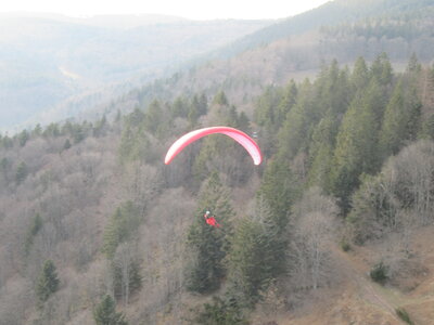 Dimanche 20 mars, IMG_2542