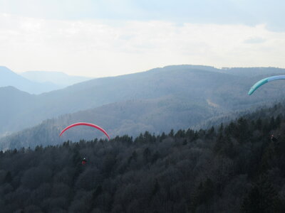 Dimanche 20 mars, IMG_2541