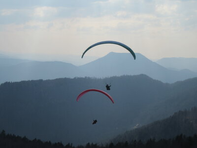 Dimanche 20 mars, IMG_2540