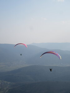 Dimanche 20 mars, IMG_2531