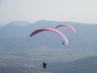 Dimanche 20 mars, IMG_2530