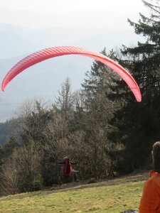 Dimanche 20 mars, IMG_2514