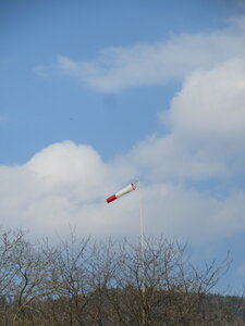 Dimanche 20 mars, IMG_2488