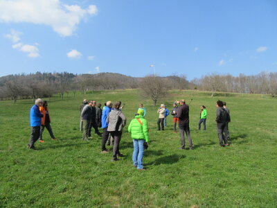 Dimanche 20 mars, IMG_2471