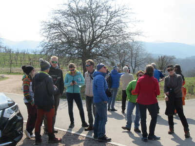 Dimanche 20 mars, IMG_2468