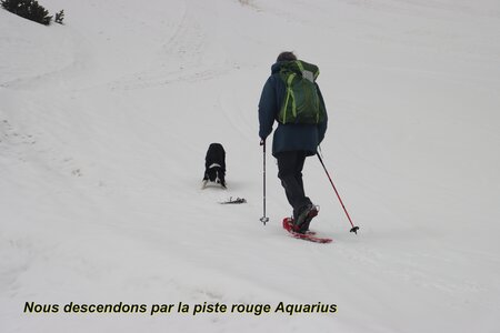 Raquettes à Réallon, Raquettes au belvédère de Réallon 023