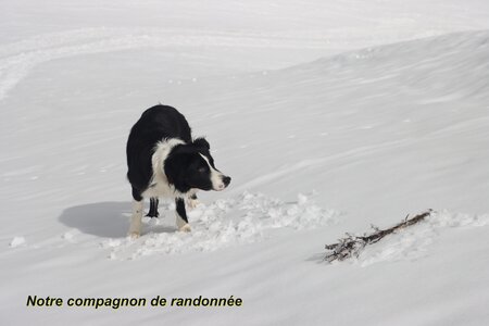 Raquettes à Réallon, Raquettes au belvédère de Réallon 026