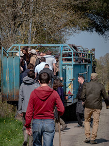 Transhumance 2022, 20220326_FDM-Transhumance.WEB-1