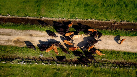Transhumance 2022, 20220326_FDM-Transhumance.WEB-14