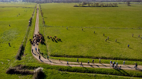 Transhumance 2022, 20220326_FDM-Transhumance.WEB-30