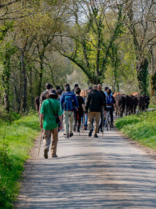 Transhumance 2022, 20220326_FDM-Transhumance.WEB-51