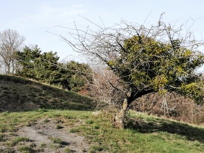 2022 04 12 Montgardin, IMG_20220412_090248