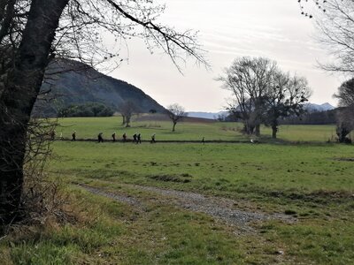 2022 04 12 Montgardin, IMG_20220412_093351