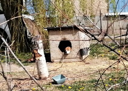 2022 04 12 Montgardin, IMG_20220412_112428