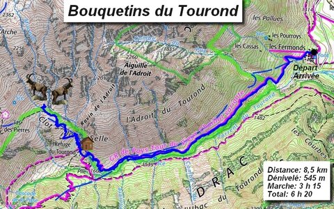 Bouquetins au refuge du Tourond, Bouquetins au refuge du Tourond 056