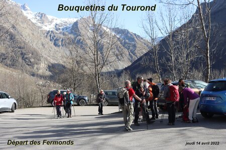 Bouquetins au refuge du Tourond, Bouquetins Au refuge du Tourond 001