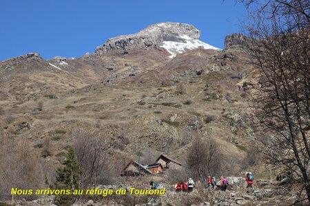 Bouquetins au refuge du Tourond, Bouquetins Au refuge du Tourond 008