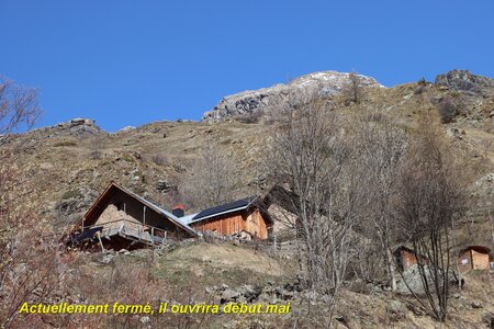 Bouquetins au refuge du Tourond, Bouquetins Au refuge du Tourond 009