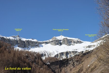 Bouquetins au refuge du Tourond, Bouquetins Au refuge du Tourond 010