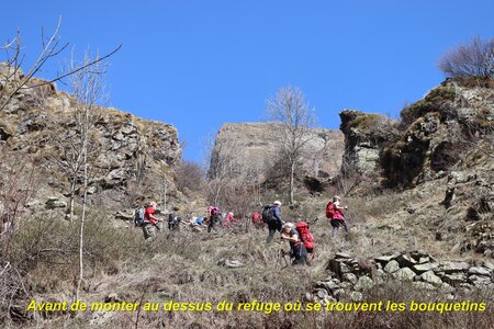 Bouquetins au refuge du Tourond, Bouquetins Au refuge du Tourond 012