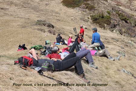 Bouquetins au refuge du Tourond, Bouquetins Au refuge du Tourond 049