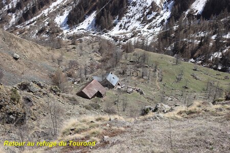 Bouquetins au refuge du Tourond, Bouquetins Au refuge du Tourond 052