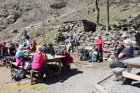 Bouquetins au refuge du Tourond, Bouquetins Au refuge du Tourond 053