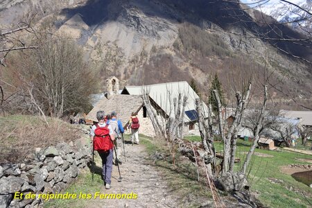 Bouquetins au refuge du Tourond, Bouquetins Au refuge du Tourond 055