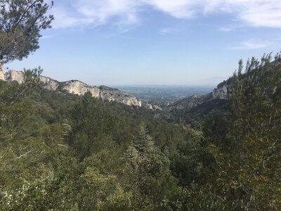 2022-04-15 St Remy de Provence, IMG_9402 Large