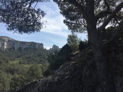 2022-04-15 St Remy de Provence, IMG_9412 Large