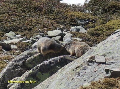 Raquettes au Col des Muandes, Col des Muandes 048