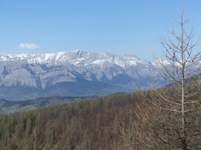 2022 04 28 Les Marrons, 2022_04_28 Les Marrons 104